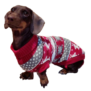 Knitted Dog Sweater Cat Ugly Christmas Sweater